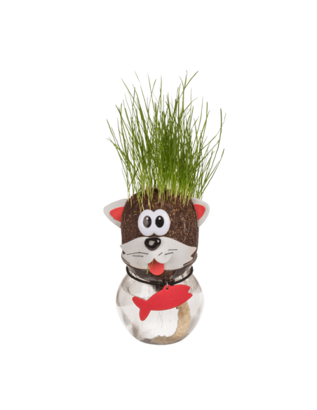Animal grass head in jar 5 assortments OTB37/0010 Out of The Blue | Futurartshop.com