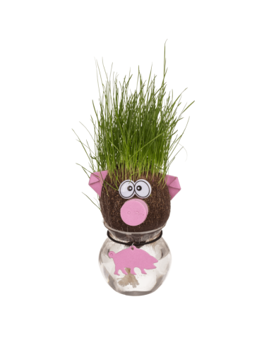 Animal grass head in jar 5 assortments OTB37/0010 Out of The Blue | Futurartshop.com
