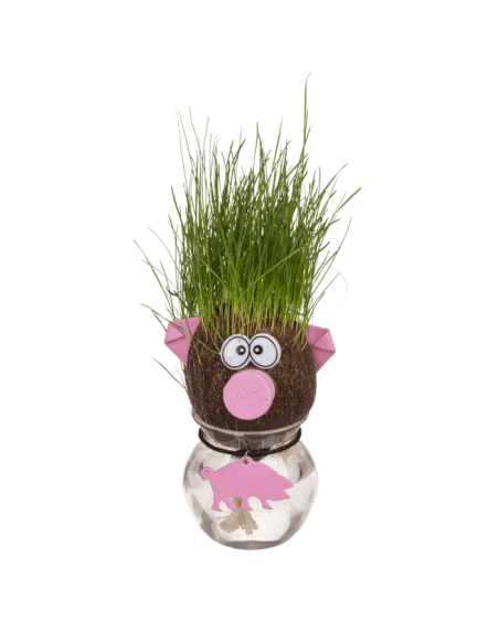 Testa d'erba animale in barattolo 5 assortimenti OTB37/0010 Out of The Blue | Futurartshop.com