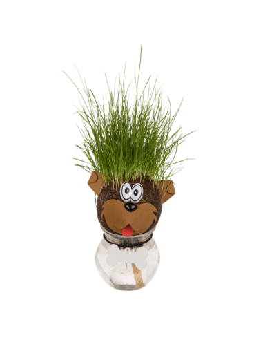 Testa d'erba animale in barattolo 5 assortimenti OTB37/0010 Out of The Blue | Futurartshop.com