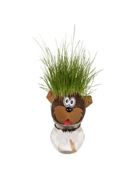 Animal grass head in jar 5 assortments OTB37/0010 Out of The Blue | Futurartshop.com