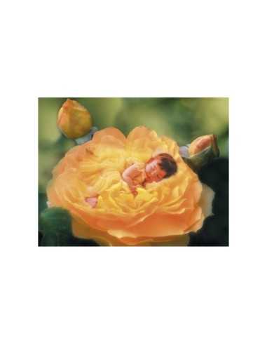 Puzzle 1000 pezzi bambina su rosa 0001285 Clementoni | Futurartshop.com