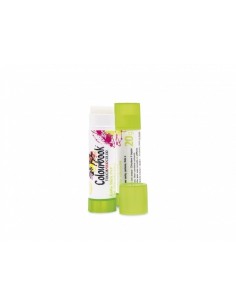 Glue stick Colorbook 20 grams LAGCOL17412 Colourbook | Futurartshop.com
