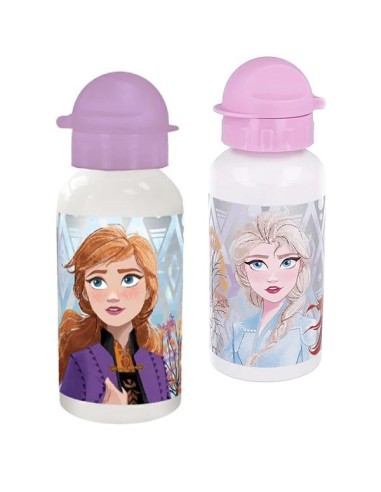 Frozen water bottle elements 500ml aluminum DIM51039 Futurart | Futurartshop.com