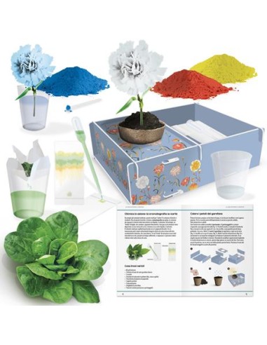 My Creative Botany Kit – Educational Botanical Toy for Kids HEAIT57137 Headu | Futurartshop.com